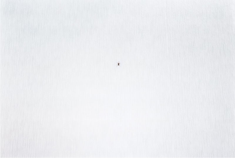 from the series Emma wir
